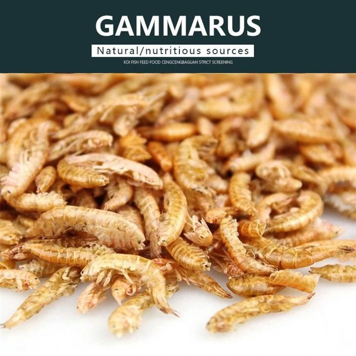 Dried Gammarus shrimp